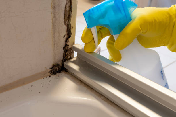 Best HVAC Mold Remediation in Dorothy, NJ